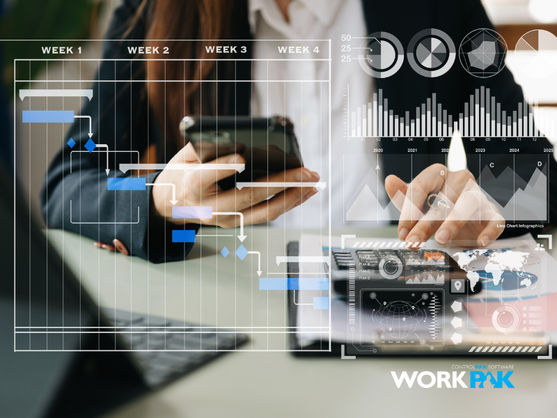 How WorkPak Simplifies Project Reporting: A Must-Have for Managers